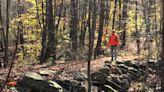 New year, new trail: See Colonial ruins and maybe a 'Man Monkey' at Catamint Brook Preserve