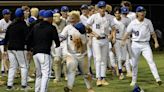 Lakeland Christian hangs on to defeat Foundation to return to state baseball tournament
