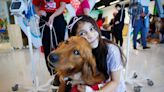 How do therapy dogs help patients? See for yourself at this Broward children’s hospital