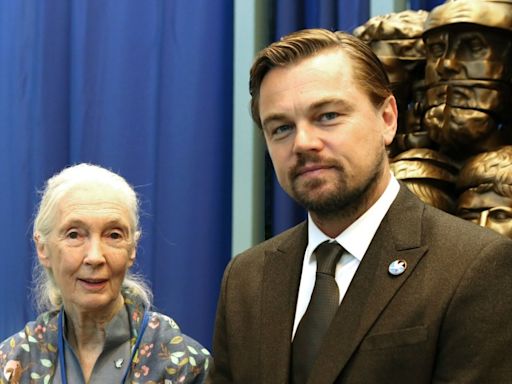 Leonardo DiCaprio & Jane Goodall To Exec Produce ‘Howl’ From Promethean Pictures: Live-Action Film About A ...