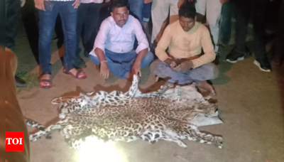 Three arrested with leopard skin in joint operation by USTR and Odisha forest department | Bhubaneswar News - Times of India