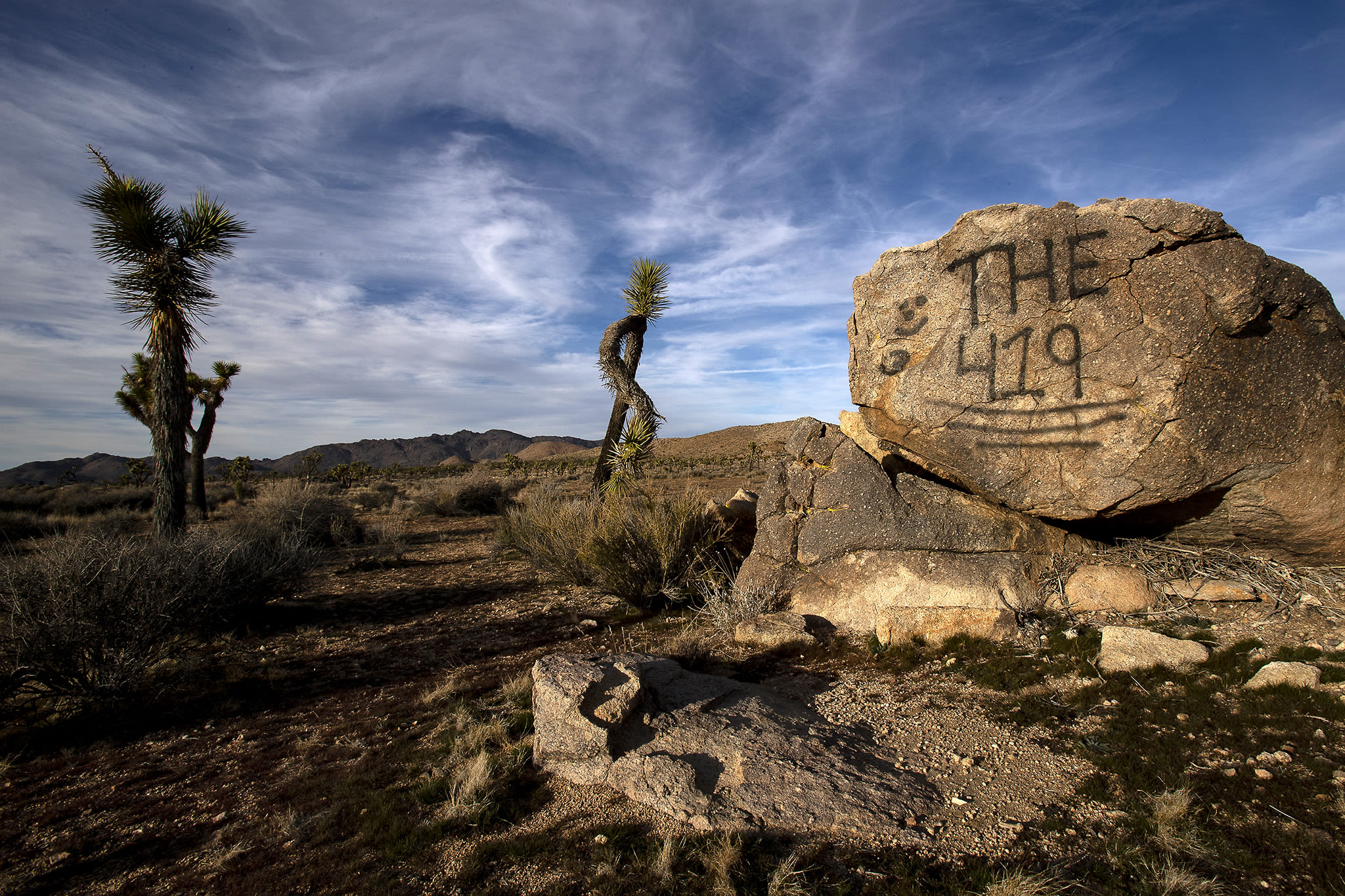 Huge increase in the cost to camp in Joshua Tree being considered