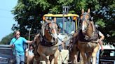 Chainsaw carving, live music and a beef show? A guide to the 2022 Woodstock Fair.