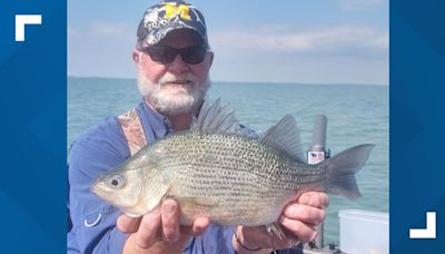 NEW STATE RECORD | Angler reels in 2.5-pound white perch on Lake St. Clair