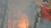 Se vuelve a romper récord de incendios forestales; hoy se registran 185 siniestros en 24 estados