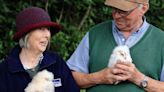 Co Down farmer celebrates after rare barn owls return to his land to raise brood