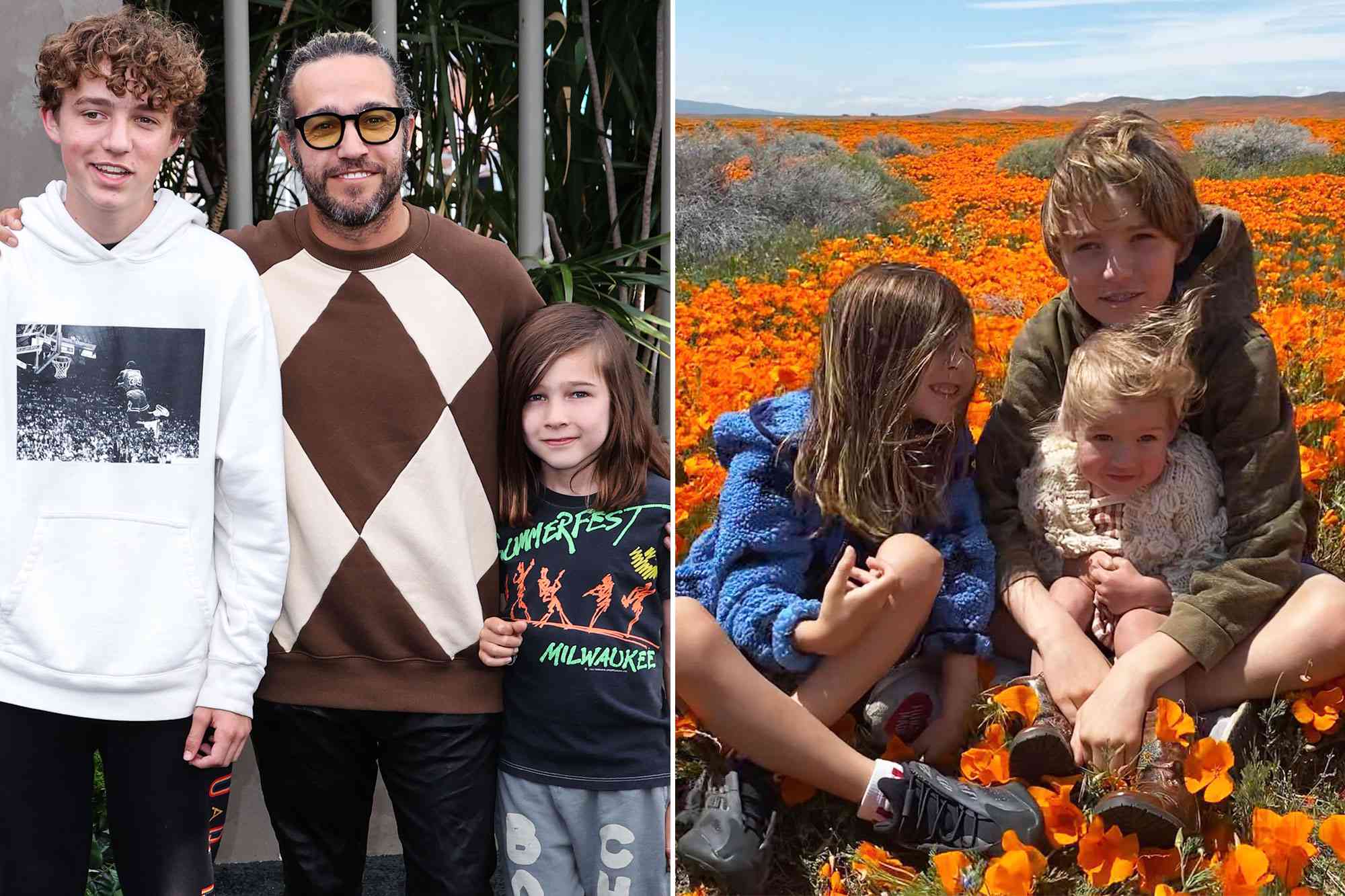 Pete Wentz's 3 Kids: All About Bronx, Saint and Marvel