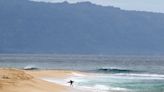 'A tragic loss': Lifeguard and 'Pirates of the Caribbean' actor dies after shark attack while surfing in Hawaii