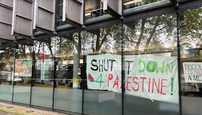 Goldsmiths students occupy library as US Gaza campus protests spread to London and across UK