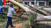 Clima HOY: Así quedó Guadalajara tras la fuerte lluvia de anoche (FOTOS y VIDEO)