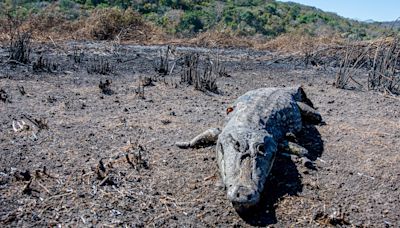 Por trás dos incêndios no Pantanal, um problema a centenas de quilômetros