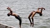 India: los animales se desploman y escasea el agua en medio del calor abrasador