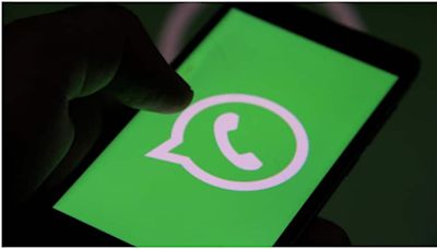 WhatsApp Directors & Nodal Officers Booked In Gurugram 'For Not Sharing Info In Cheating Case'