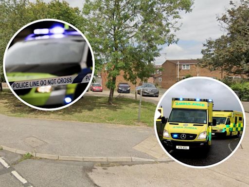 Police launch investigation after 'unexpected' death of woman in south Essex