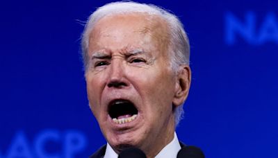 ‘Rambling’ Biden Gets Nasty With Bronze Star Democrat on Zoom Call