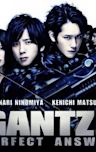 Gantz: Perfect Answer