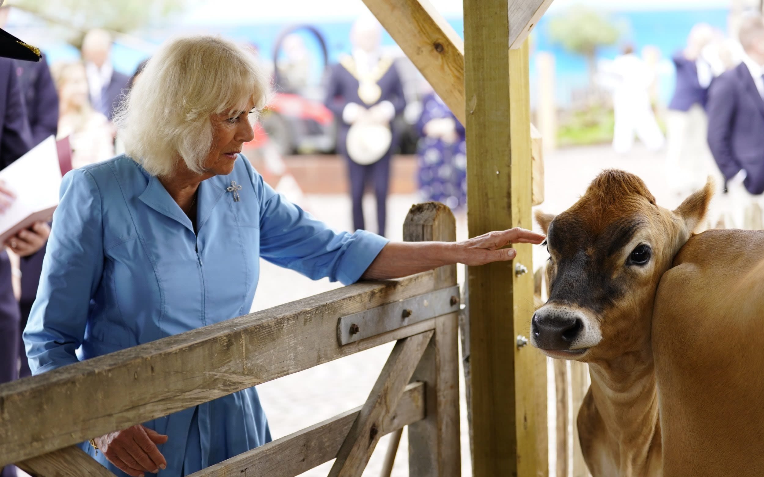 Watch: Queen gets the giggles as she meets frisky Jersey cows