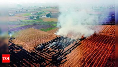 Punjab farmers incentivized for not burning stubble by Phoolka's proposal to NGT | Chandigarh News - Times of India