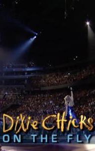 Dixie Chicks on the Fly