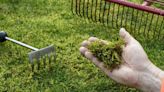 Remove moss from lawns fast with experts’ ‘incredible moss killing recipe’