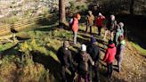 Manx Wildlife Trust seeks new woodland rangers