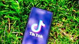 TikTok sues Biden administration to block new law that could lead to U.S. ban - WDEF