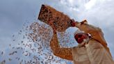 Food inflation: Tight grain, oilseed supplies to keep prices elevated