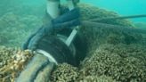A US Navy plane went into a Hawaii bay. Underwater video shows its tires are touching a coral reef