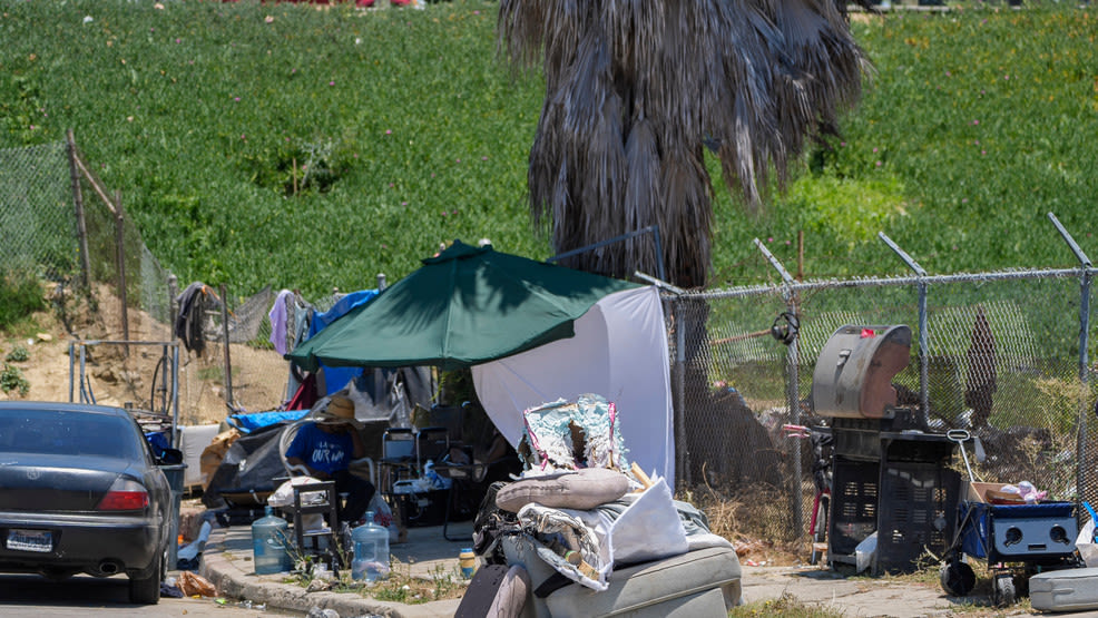 Fact Check Team: Solving homelessness crisis by clearing encampments?
