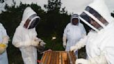 How a chance meeting helped Texas become the nation’s top beekeeping state