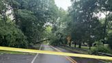 Storms bring heavy rain, downed trees around Nashville