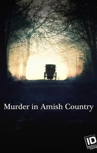 Murder in Amish Country