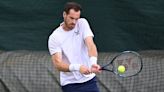 Andy Murray will 'most likely' make Wimbledon decision TONIGHT