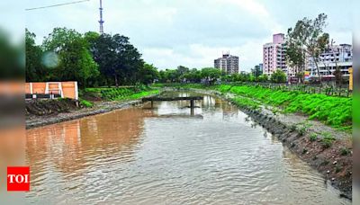 Special Campaign to Revive Water Bodies Starting on June 5 | Indore News - Times of India