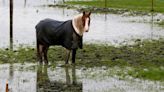 Climate change made UK's waterlogged winter worse