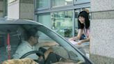 竹市開徵16.5萬車輛使用牌照稅 名車成長高達32.3%