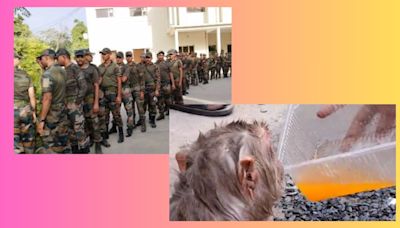 Top 5 viral videos: India Army stand in que to cast vote, monkey falls off tree in Ghaziabad and more