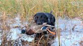 Natural Resources Board approves favorable 2023 waterfowl hunting regulations