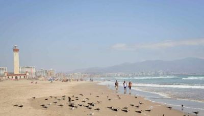 Estos son los feriados y fines de semana largo que trae mayo