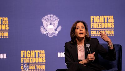 Arizona delegates lining up behind Kamala Harris ahead of convention