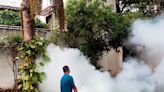 Two new dengue cases in Gurugram take tally to 15