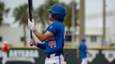 Close series with Arkansas has Florida baseball moving up RPI report