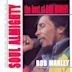 Best of Bob Marley: Soul Almighty