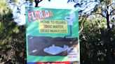 Bear group puts up manatee billboards on I-95