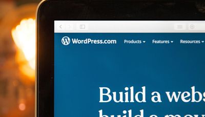 The Matt Mullenweg and WordPress controversy | Explained