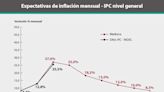 El nuevo precio del dólar que proyectan 40 expertos para 2024, con inflación al rojo vivo