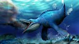 New fossils reveal specialized eating technique of unusual ancient marine reptile
