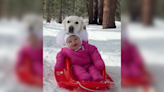 This Heartwarming Bond Between A Baby & Dog Will Make Your Entire Day!