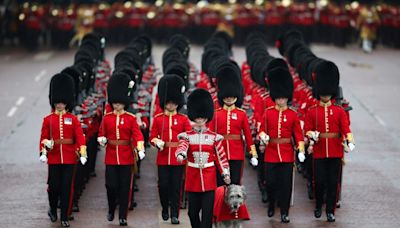 UK military urged to stop using bearskin hats on cost grounds