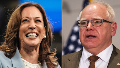 'She did a really smart thing': Democratic voters like Harris's pick